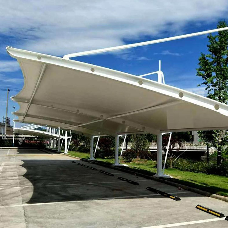 定洁县膜结构汽车棚