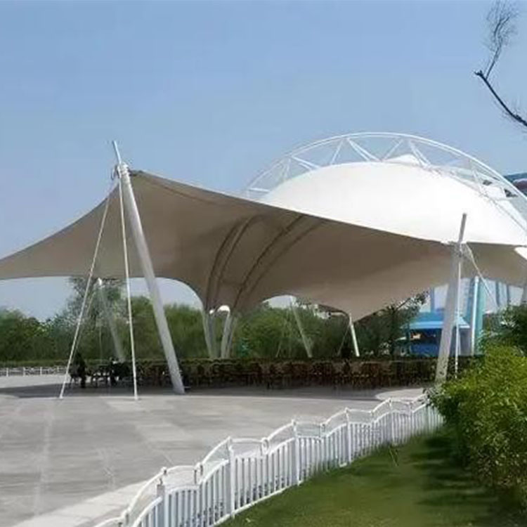 定洁县工程案例